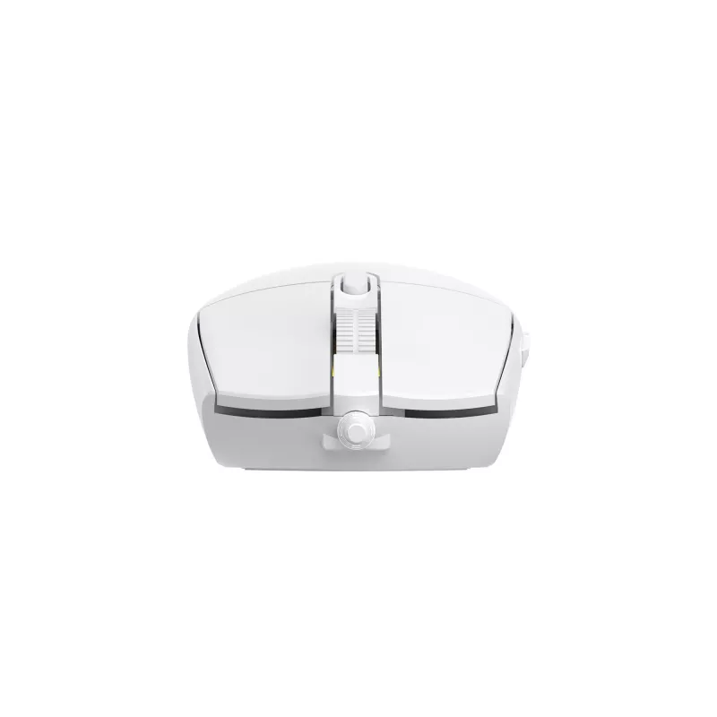 Ποντίκι Baracuda BGM-112 Crab White CRAB-W