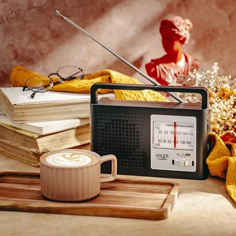 Ραδιόφωνο AM/FM AD1909