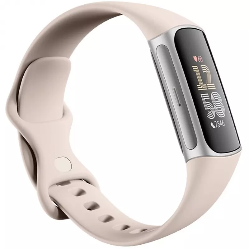 Fitbit GA05185-EU Προϊόν Ασημί