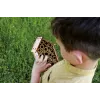 Σετ I'M A Genius - Εργαστήριο μελισσών