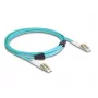 DeLOCK Καλώδιο οπτικών ινών LC Duplex σε LC Duplex OM3 3 m