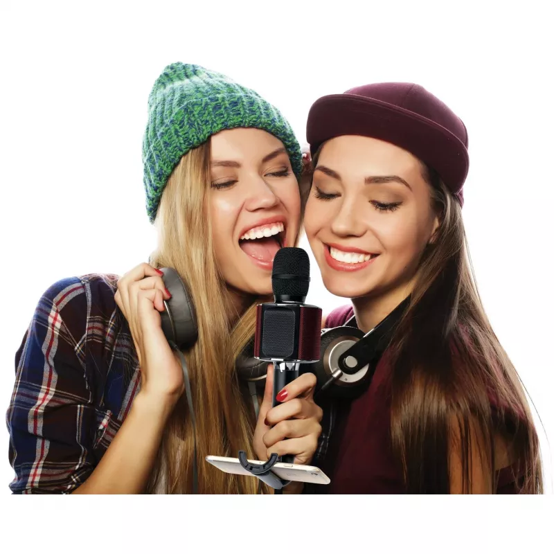LENCO BMC-090 μικρόφωνο karaoke, μαύρο