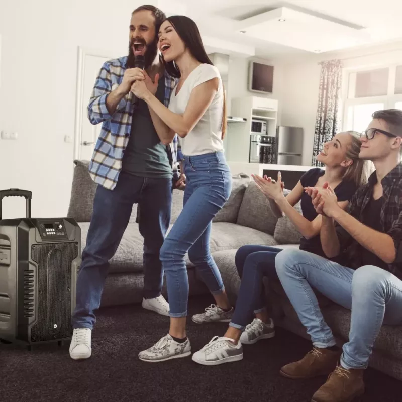 Ηχείο Manta SPK1203B100 100 W