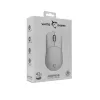 Ποντίκι White Shark GM-5014 Graphene λευκό USB