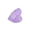 Ποντίκι NATEC Crake 2 Universal δεξιόχειρες RF Wireless + Bluetooth οπτικό 2400 DPI