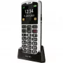 Bea-fon SL260 LTE Silver Line κινητό τηλέφωνο 4G με πλήκτρα, 2,2 ίντσες, 176 x 220, microSD, ασημί/μαύρο