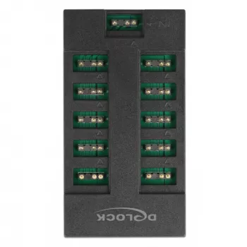 Delock - RGB LED hub φωτισμού - 10 συνδέσεις - μαύρο (64128)