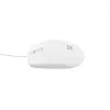 NATEC NMY-1988 Ποντίκι USB Type A οπτικό