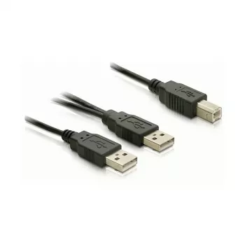 Καλώδιο DELOCK USB 2.0 B -> USB-A Power + Power/Data