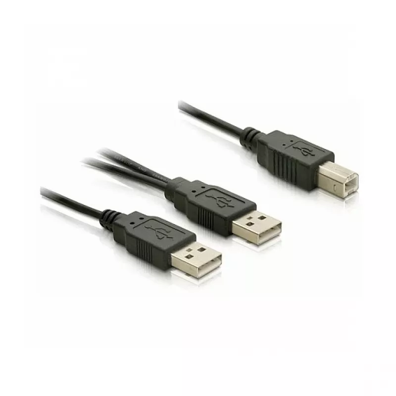 Καλώδιο DELOCK USB 2.0 B -> USB-A Power + Power/Data
