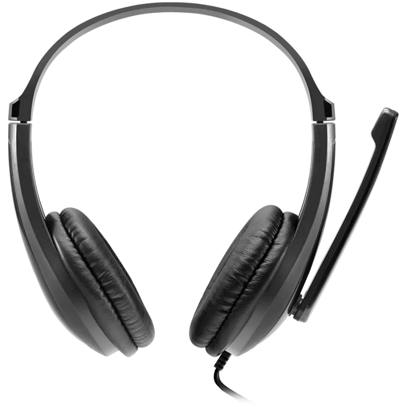CANYON PC-Headset HSC-1 PC Mic Flat 2m μαύρο