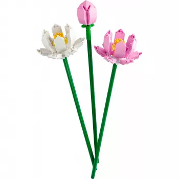 Σετ κατασκευής LEGO LEGO 40647 Lotus Flowers — Botanical Collection αρθρωτό μοντέλο, 220 τεμάχια, ύψος 300 mm, ηλικία 8+