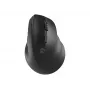 Ασύρματο οπτικό ποντίκι NATEC CRAKE 2 — Bluetooth 5.2, 2400 DPI, 6 κουμπιά, δεξιόχειρας, μαύρο
