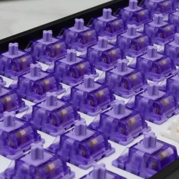 White Shark Purplepulse Mechanical Switches 65 τεμ.