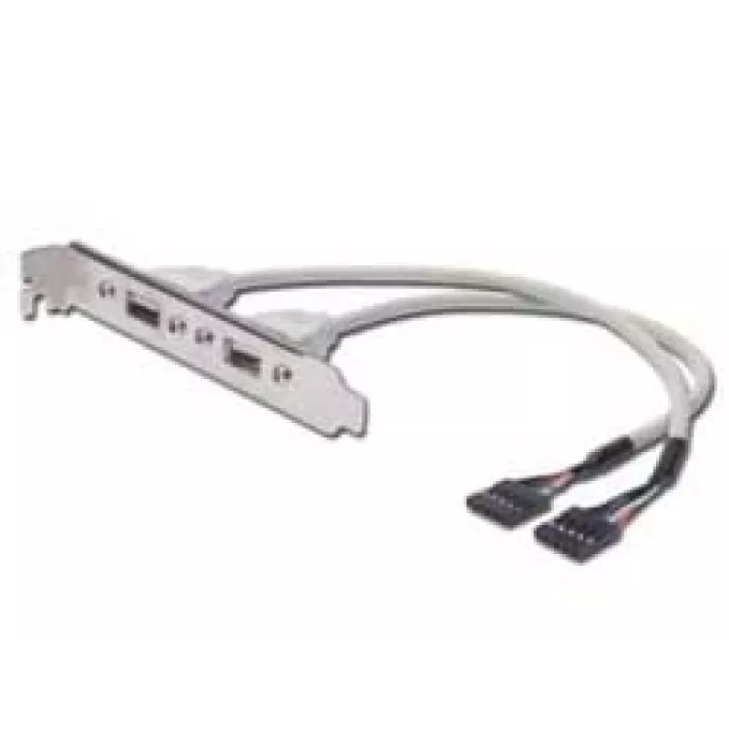 Καλώδιο υποδοχής USB Digitus AK-300301-002-E