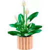 LEGO BOTANICALS 11504 Κρίνος της Ειρήνης