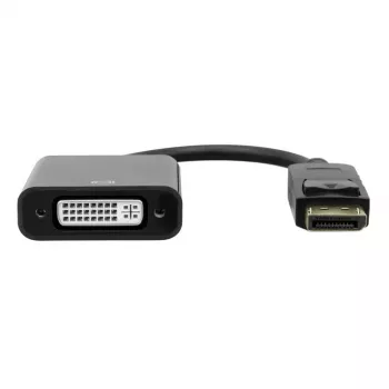 Προσαρμογέας DisplayPort σε DVI Garbot 20 cm αρσενικό/θηλυκό μαύρος, καλώδιο 20 cm, αρσενικό DisplayPort σε θηλυκό DVI