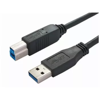 Καλώδιο USB Bachmann 917.1205 USB 3.2 Gen 1 1 m USB A USB B μαύρο