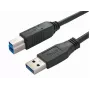 Καλώδιο USB Bachmann 917.1205 USB 3.2 Gen 1 1 m USB A USB B μαύρο