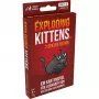 Exploding Kittens - Έκδοση 2 παικτών, Παιχνίδι με κάρτες