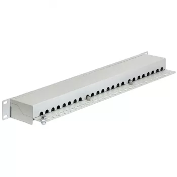 Patchpanel DeLOCK 43300 1U RJ-45 Γκρι