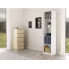 Βιβλιοθήκη για το γραφείο Topeshop R50 BIEL 5 ράφια λευκό