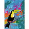 Ravensburger Puzzle Moment — Magic Toucan, 300 τεμάχια, Ενήλικες/Προχωρημένοι