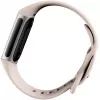 Fitbit GA05185-EU Προϊόν Ασημί