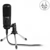 Delock - Μικρόφωνο - USB - Μαύρο (66832)