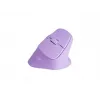 Ποντίκι NATEC Crake 2 Universal δεξιόχειρες RF Wireless + Bluetooth οπτικό 2400 DPI