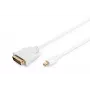 Καλώδιο DisplayPort 1.1a Mini DP-DVI Type A αρσενικό-αρσενικό 2,0m