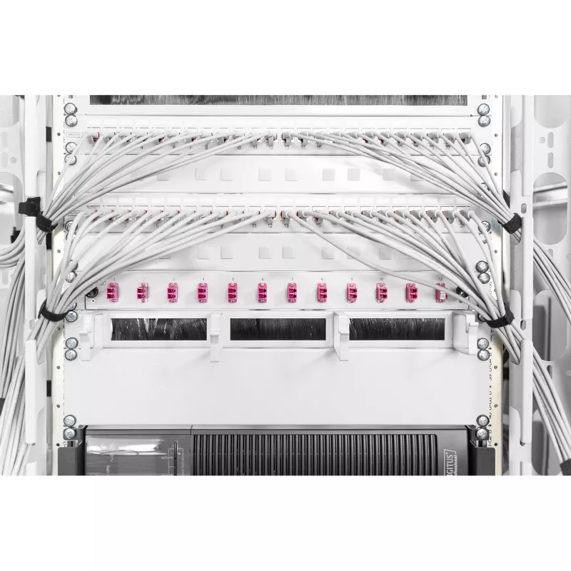 Τυφλή πλάκα Digitus DN-19 BPN-02
