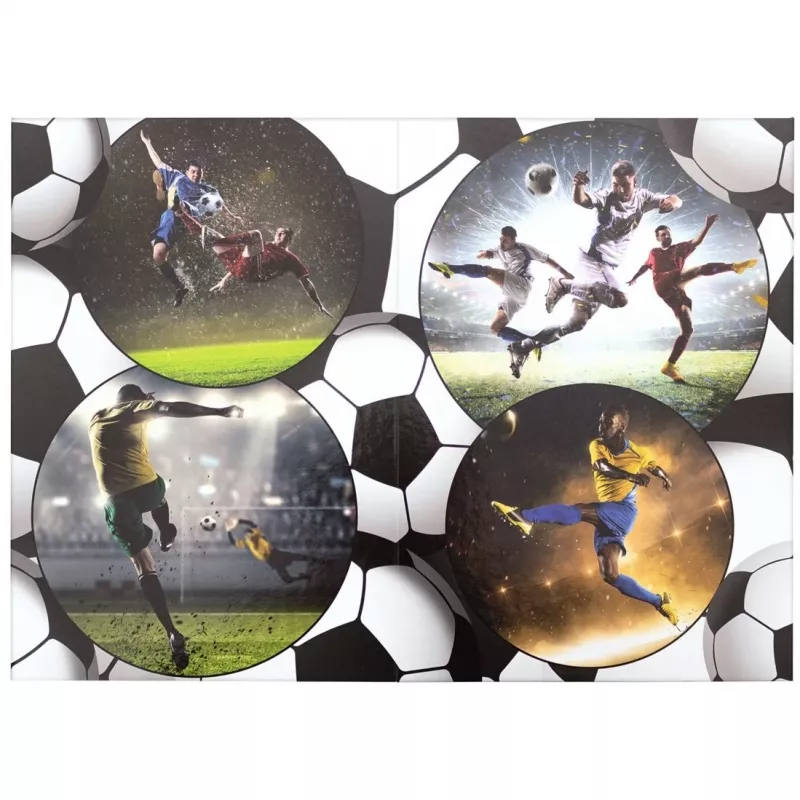 Καλάθι αχρήστων HERMA Football 19739