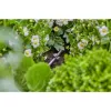 Βάση λάστιχου Gardena 13218-20 μαύρο τοποθέτηση στο έδαφος