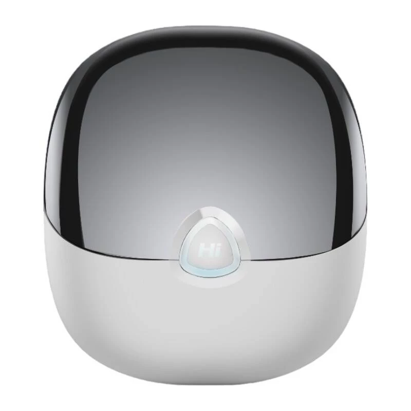 Ασύρματα ακουστικά TWS HiFuture Sonic Air (λευκά)