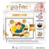Harry Potter - Wizard Guessing Game, Παιχνίδι γνώσεων