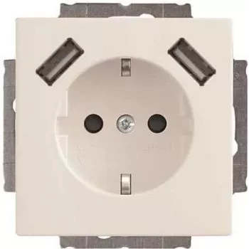 Busch-Jaeger Πρίζα SCHUKO-2x USB 20 EUCB2USB-84 (2CKA002011A6273)