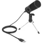 Delock - Μικρόφωνο - USB - Μαύρο (66832)