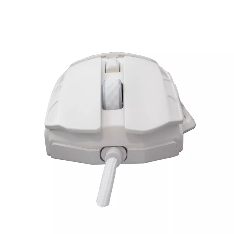 Ποντίκι White Shark GM-5016 Ector White USB