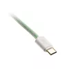 Ducky Premicord Καλώδιο USB 1,8 m USB A USB C Μπλε Πράσινο
