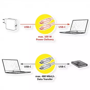 Καλώδιο USB VALUE 11.99.8310 3 m USB C μαύρο USB 2.0