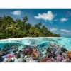Παζλ Ein Dive in the Maldives (2000 τεμάχια)