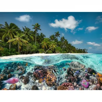 Παζλ Ein Dive in the Maldives (2000 τεμάχια)