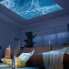 Manta PMA102M24 MultiVision φορητός έξυπνος προβολέας, 1280x720, 250 ANSI, Android 9, Wi-Fi, Bluetooth