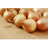 Σπόροι λαχανικών Wolska Onion Toraf, Συσκευασία 5g