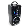Στερεοφωνικό φορητό ηχείο Media-Tech PARTYBOX BT MT3150 Μαύρο
