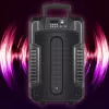 Ηχείο Manta SPK1203B100 100 W