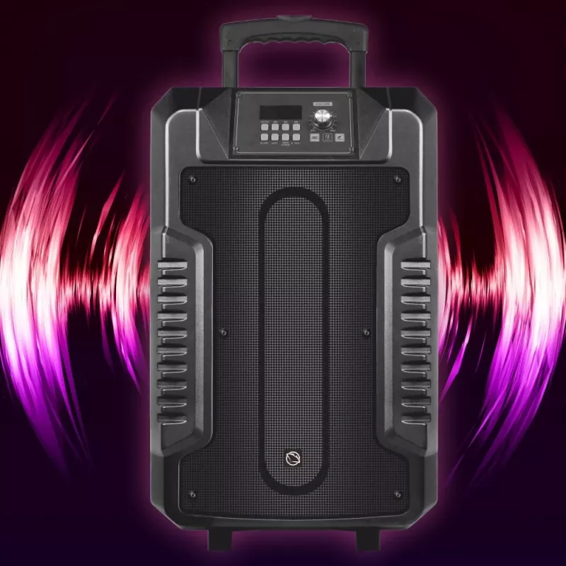 Ηχείο Manta SPK1203B100 100 W