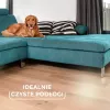 Βούρτσα Vileda Always Clean PET PRO