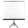 Avtek Tripod Standart 175 οθόνη προβολής 1:1
